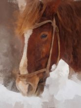 Red horse / ***