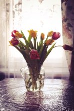 Blumenfest / ***
