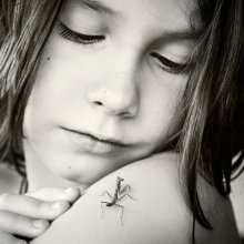 ein Junge und ein mantis / *****