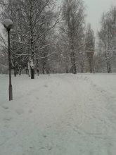 Winter / ***