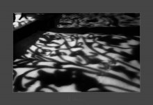 Schatten / ***
