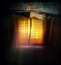 see the light / ***