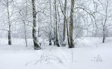 Studie über Winterflugplan / ***