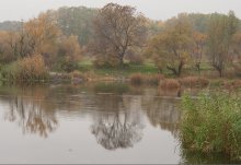 Ruhiges Wasser. / ***