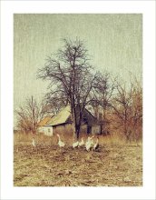 Lebte mit Oma ... / ***