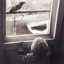 Sasha und Tauben / ***