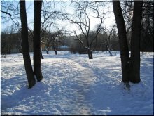 Winter Park / ***