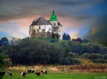 Schloss in Olesko / ***