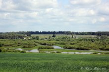 Landschaft / ***