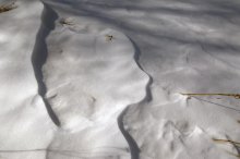 Schnee bas / ***