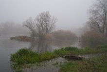 Misty Gnade. / ***