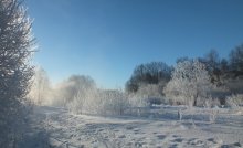Frosty Morning / ***