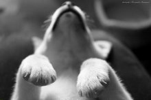 Schlafen ... / ...
