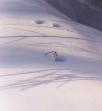 Winter Moments / ***