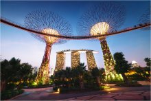  / Gardens by the Bay, Singapore