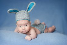 Hase / ***