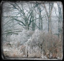 frostigen Morgen im April / ***