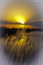 Abend / ***