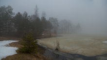 Im Nebel / ***