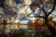 Herbst-Muster / ***