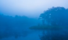 Misty Morning-2 / ***