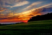 Sonnenuntergang / ***