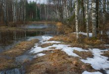 Letzter Schnee / ***