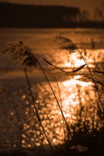 Abend / *****