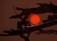 Cold Sun / ***