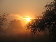 Am frühen Morgen / ***
