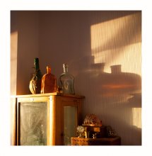 The morning ray / ***