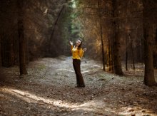 Im Frühjahr Wald / ***