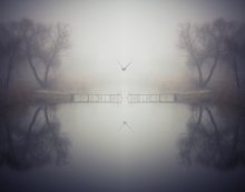 Silent World / Silent World
