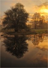 Orange Morgen / ***
