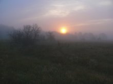 Rang ein Nebel. / ***