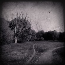 Solitude / ....................