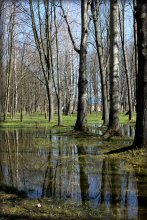 Birch Grove / ***