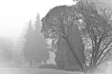 Dort, hinter dem Nebel ... / ***