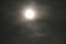 die Hauptsache unter der Sonne / ***