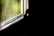 / WINDOW
