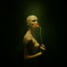  / ***