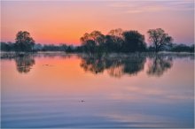Dawn in Flut / ***