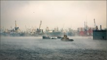 im Nebel ... / ***