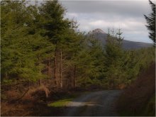 BERGBAU ... "Trails" 3 ... / ...summit of Great Sugar loaf view...