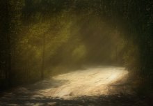 Im Wald / ***