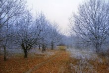 Leichter Hauch von Winter / ***