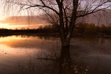 Hohe Wasser / ***