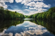 Frühling auf dem See / ***