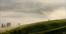 / Wo geboren Nebel ... / / ***