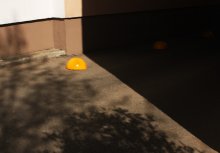  / ------